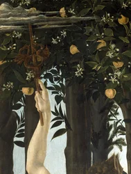 Primavera (detail)